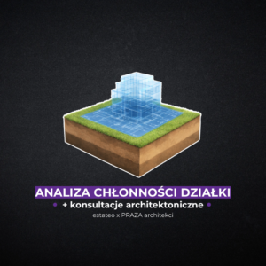 Analiza chłonności działki + konsultacje architektoniczne